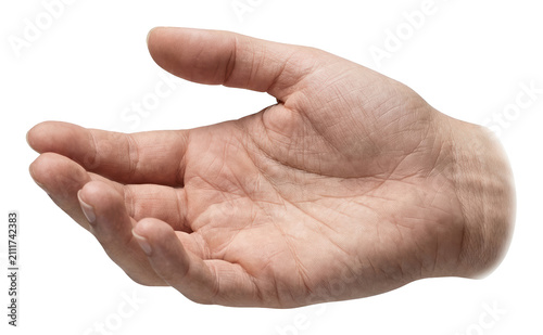 Natural Caucasian human hand with an open, outstretched palm ready to receive isolated transparent background image