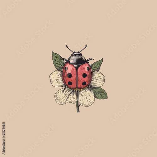 Vintage Hand-Drawn Ladybug on Flower Illustration - Botanical Vector Art