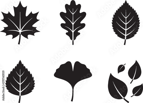 Botanical tree foliage silhouettes for patterns and graphic elements