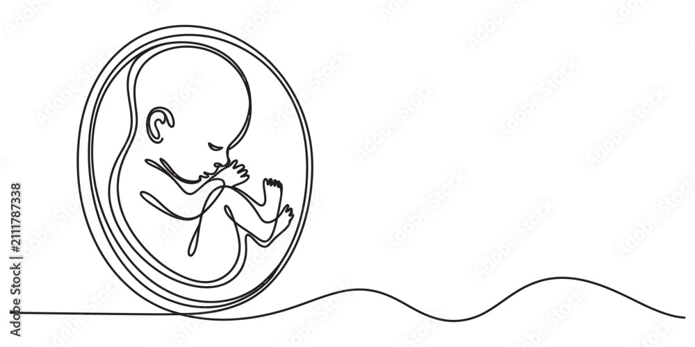 Obraz premium Continuous single line drawing of a human fetus inside the mother womb