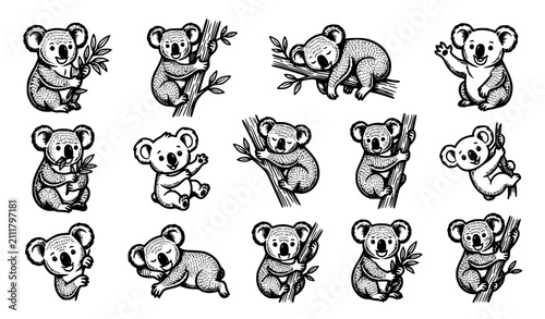 Photography Cute Koala Bear Vector Character Set Featuring Black and White Wildlife Line Art