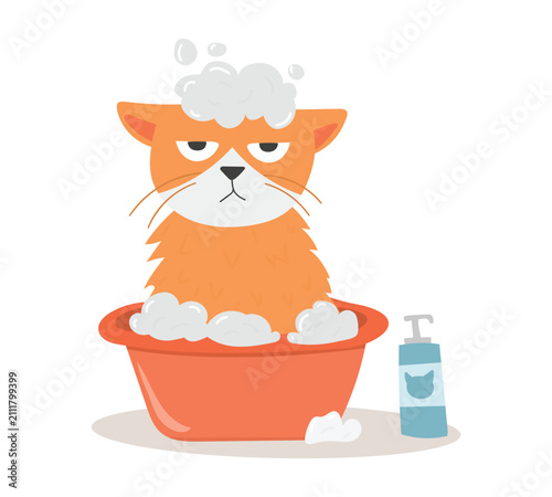Photography Cute and funny cats doodle vector