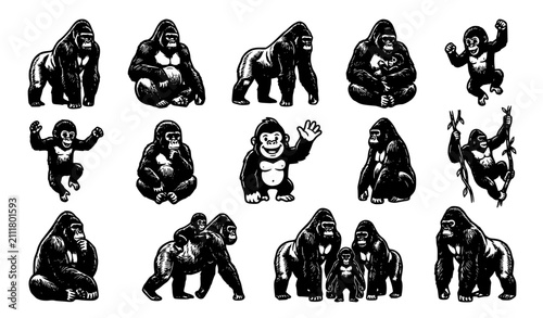 Photography Realistic Silverback Gorilla and Cute Cartoon Monkey Vector Character Set with H