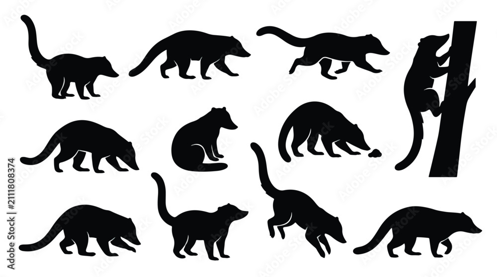 Fototapeta premium Black bear movement and behavior vector illustration set. Walking, running, sitting, climbing, and sniffing poses. Wildlife animal silhouettes for educational materials.