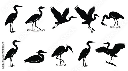 Wading birds vector illustration set. Herons and egrets standing, flying, and swimming in wetland habitat.