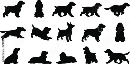 Fotografía English, Cocker, Spaniel, dog, silhouette, vector, set, collection, standing, si