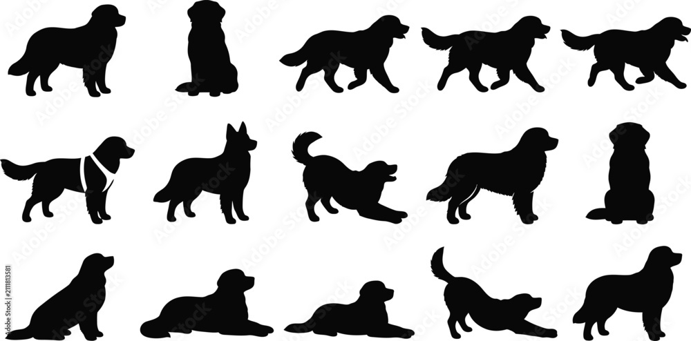 Obraz premium Newfoundland, dog, silhouette, vector, set, collection, standing, sitting, running, walking, pose, pet, canine, purebred, isolated, graphic, design, illustration, icon