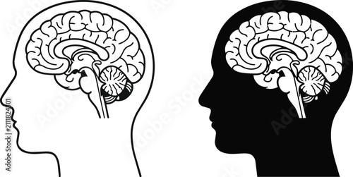 Foto Comparison of human head silhouettes with internal brain anatomy shown in outlin