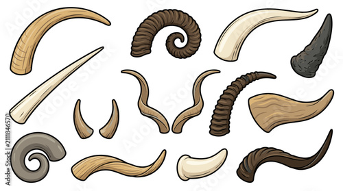 Collection of Various Animal Horns and Antlers.