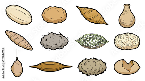 Premium Vector Collection of 12 Natural Insect Cocoons and Pupal Cases Isolated with Detailed Organic Structures