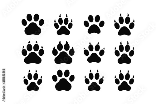 Set of animal paw prints, bear, wolf, dog, cat, tiger, lion, leopard, panther, bird footprints, vector illustration