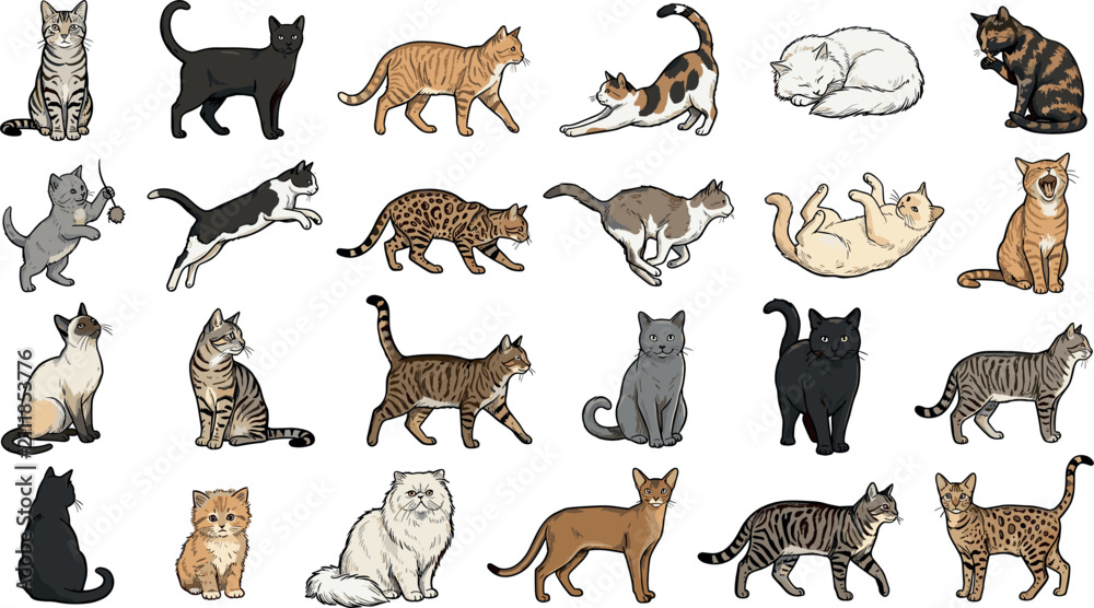 Obraz premium Domestic Cat Breed Vector Collection Featuring Realistic Pet Cats In Sitting Walking Sleeping Playing And Resting Poses