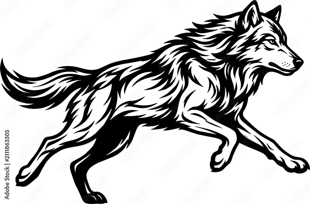 Obraz premium Aggressive Wolf Head Growling Portrait Etched Style Illustration