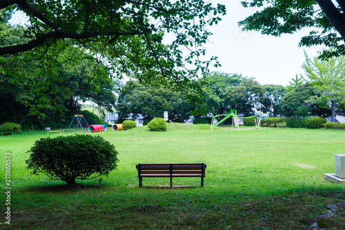 散歩の途中で見つけた夏の風景