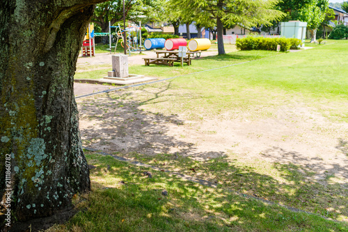 散歩の途中で見つけた夏の風景