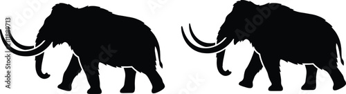 фотографія Black silhouettes of woolly mammoths walking on a white background for design an