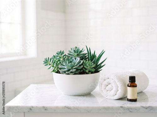 Small green succulent plant in a white bowl with a bottle of essential oil