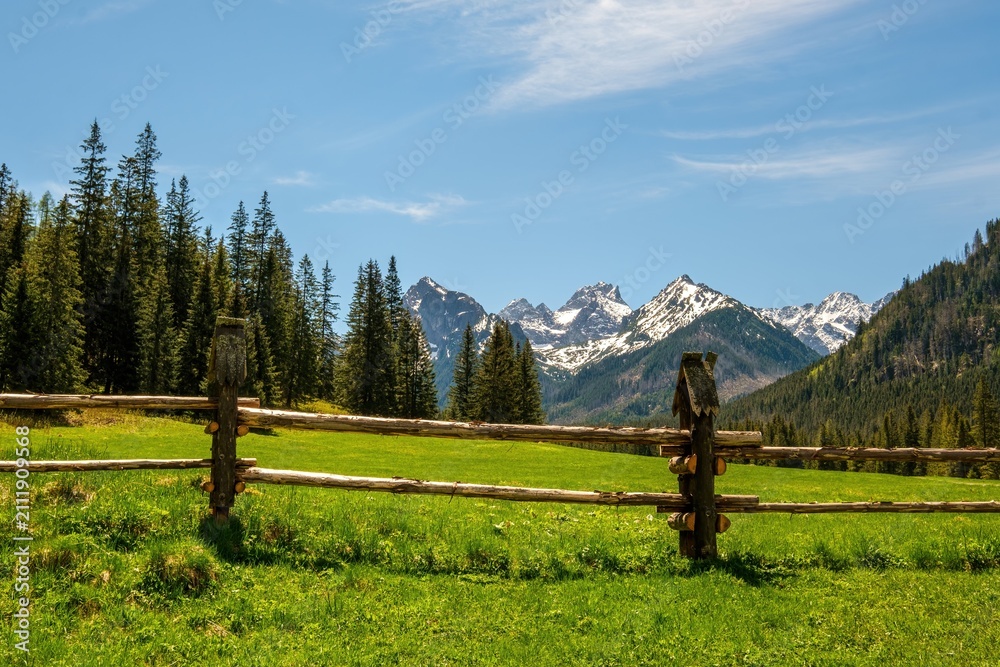 Obraz premium Scenic view of Bielovodska dolina in High Tatras, Slovakia. A vibrant green meadow with a rustic wooden fence in the foreground and majestic snow-capped mountain peaks under blue sky.