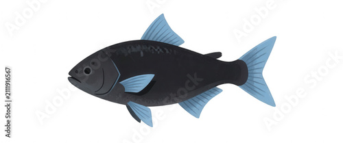 Black Fish Isolated Transparent Background