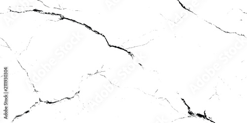 Принти на полотні A high contrast black and white grunge marble texture featuring distinct organic branching veins and fine crack lines across a clean background