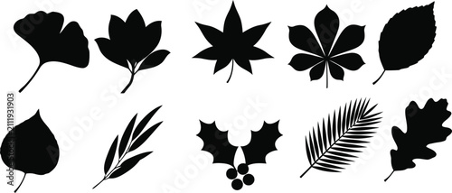 A collection of various black silhouettes of different tree leaves and foliage isolated on a clean white background for design projects
