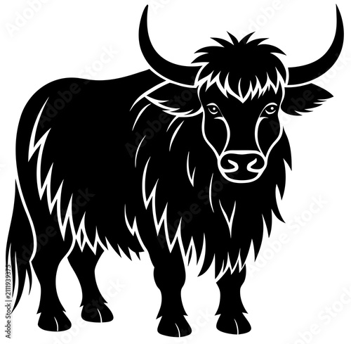 black and white yak