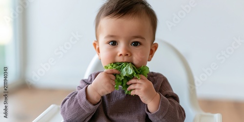 Curious baby biting leafy lettuce in highchair background for healthy eating banner and toddler nutrition design