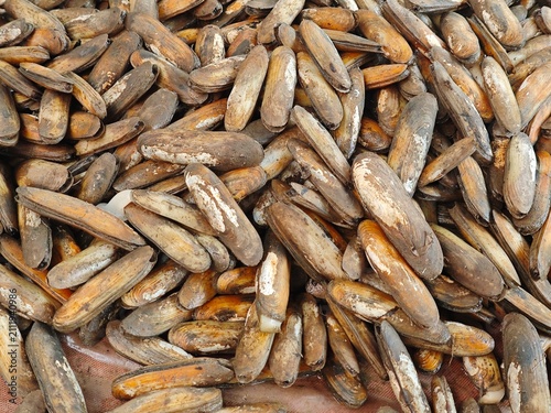 Raw razor clams
