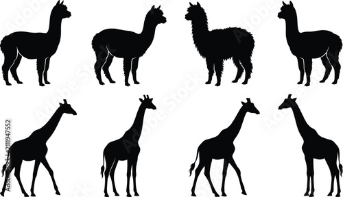 Photography Alpaca, Llama, and Giraffe Silhouette Vector Icon Set for Zoo, Safari, Wildlife Education, African Nature, and Animal Logo Designs