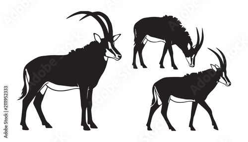 Obraz na płótnie black and white silhouette set of Sable antelope very high quality vector illustration