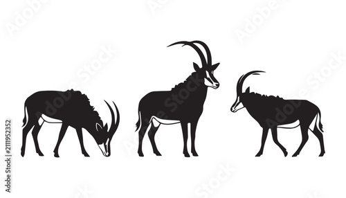 Fotografía black and white silhouette set of Sable antelope very high quality vector illustration