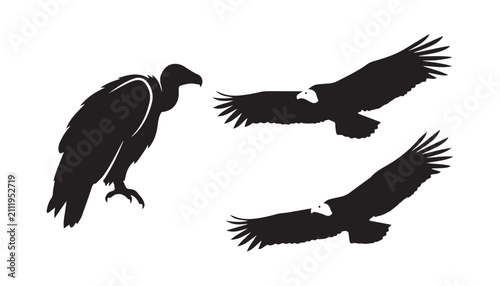 Quadro su tela black and white silhouette set of vulture bird very high quality vector illustration