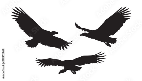 Canvastavla black and white silhouette set of vulture bird very high quality vector illustration