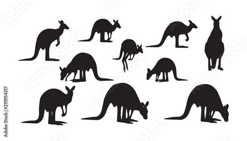 Photography black and white silhouette set of kangaroo very high quality vector illustration