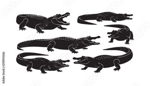 black and white silhouette set of crocodile very high quality vector illustration.