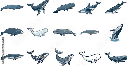 Foto Whale vector illustration collection featuring blue humpback sperm beluga killer