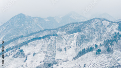 Konstfotografi A wintry landscape of snow-laden mountain ranges with forested slopes under a hazy sky