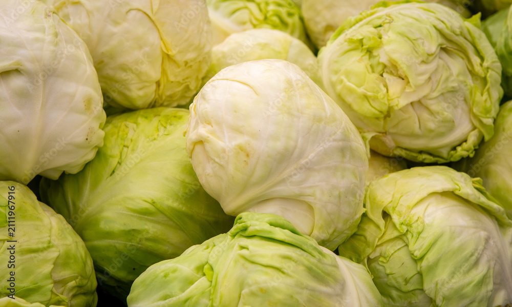 Fototapeta premium fresh green cabbages stacked together