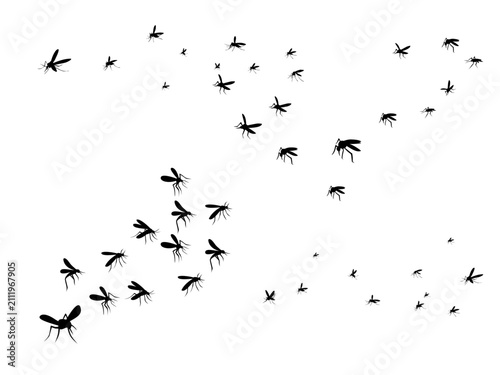 Swarm of Flying Mosquito Silhouettes Isolated on White Background Vector Graphic