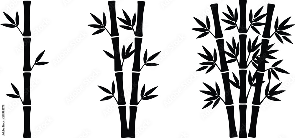 Obraz premium Bamboo Stem Silhouette Set with Bamboo Forest, Black Asian Botanical Vector EPS Collection Isolated on White Background