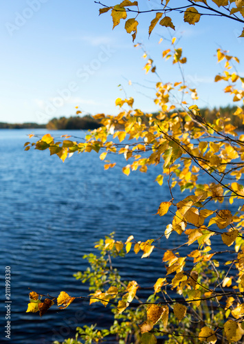 Autumnal landscape with lake in Finland. Autumn times and sun is about to go down, leaves turning yellow.