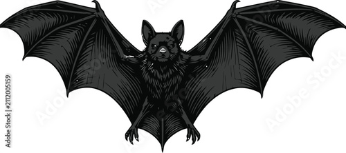 Black bat flying with spread wings