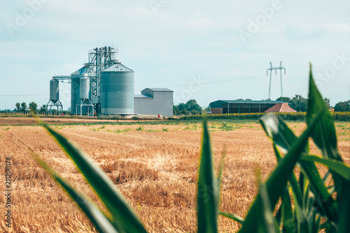 Fotografía Grain storage silo seen beyond cultivated corn plants moving gently in the wind
