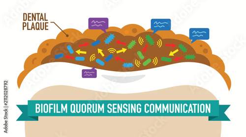 Foto Biofilm Quorum Sensing Dental Plaque Communication