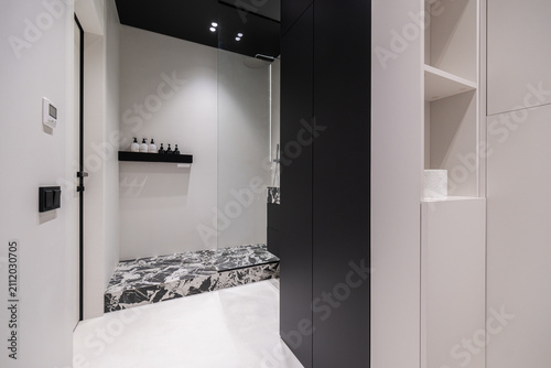 Fotografie Marbled shower enclosure with matte black bathroom accents
