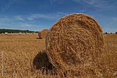 Straw bales in a mown field 