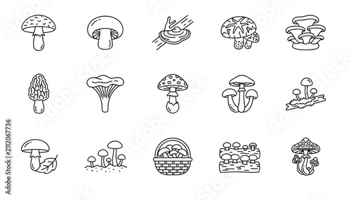 Foto Set of mushroom icons in line art style