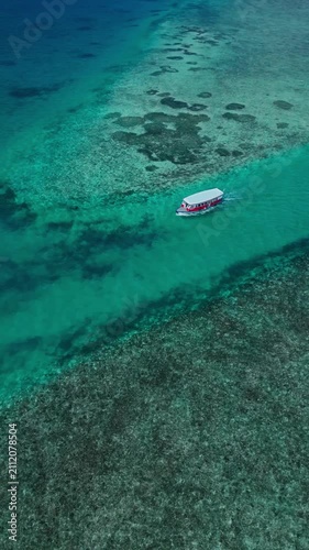 Reef showing visible action, in underwater tropical reef, with reef, clear water, from a aerial view perspective, with blue, green accents, and serene mood, showing the main action and place clearly.