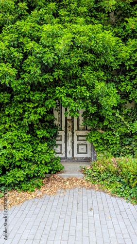 Hecke um Tür