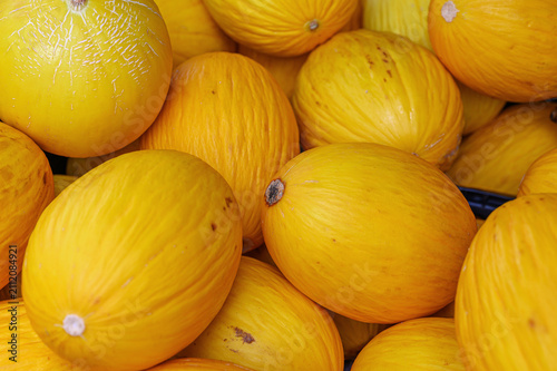 Fresh ripe yellow melons displayed for sale at a market